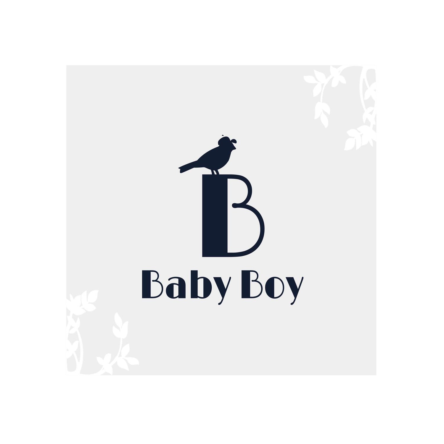 Baby Boy’s